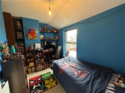 Picture 16